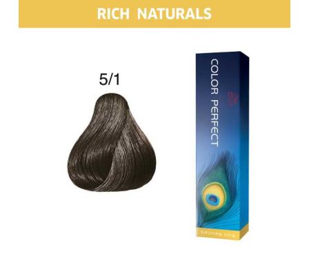 COLOR PERFECT RICH NATURALS 5/1