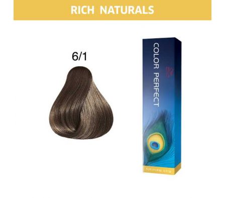 COLOR PERFECT RICH NATURALS 6/1